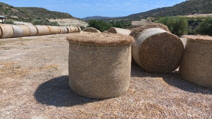 Round hay bales in a dry agricultural field, with tightly rolled straw, additional bales in the background and Mediterranean hills © Olshanetskaia