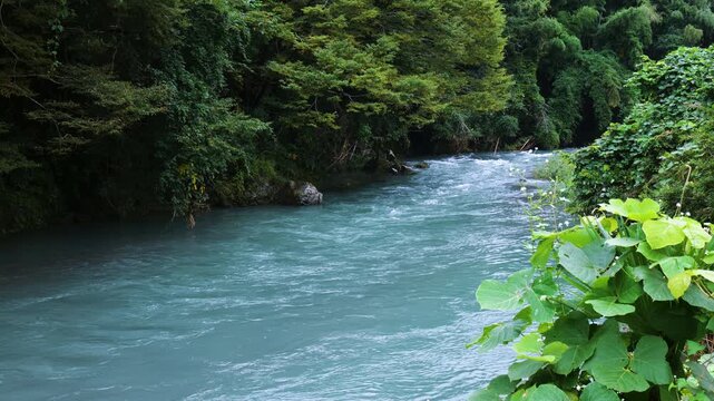 【スローモーション】夏の大雨後に増水した埼玉県日高市高麗川の風景