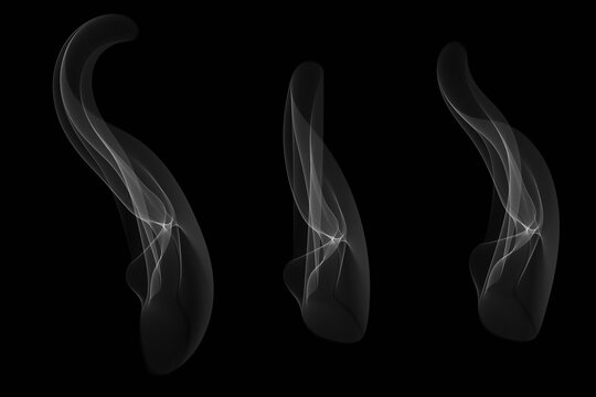 X-ray images of human sigmoid colon isolated on white background