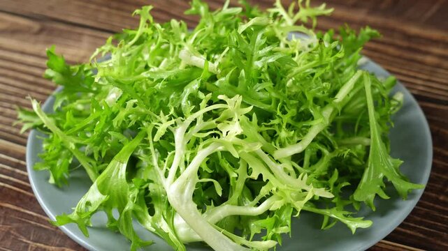 closeup of fresh endive vegetable