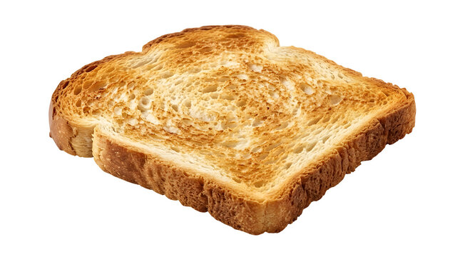 A single slice of golden brown toasted white bread positioned at an angled three quarter perspective view showcasing its porous textured surface and crust edges isolated against a clean white