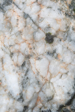 Moss beginning to colonise a quartzite boulder
