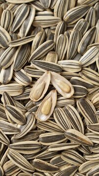 Sunflower seeds with opened shells showing kernels close up