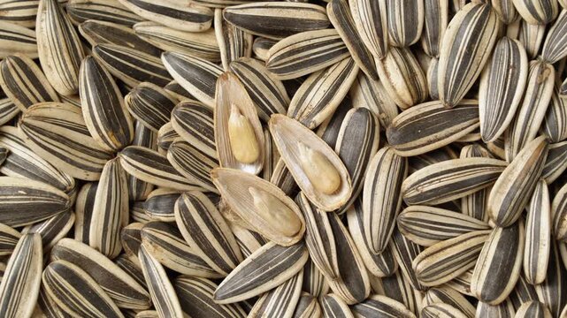 Sunflower seeds with opened shells showing kernels close up