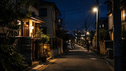Fototapeta premium Quiet Japanese Residential Street at Night with Warm House Lights and City Views