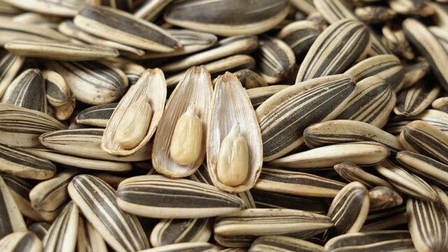 Sunflower seeds with opened shells showing kernels close up