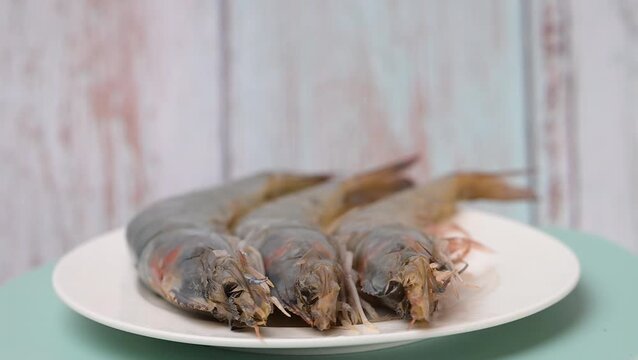 video of the biggest shrimp