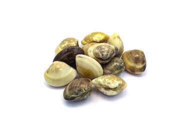 Closed up fresh baby clams. venus shell. shellfish. carpet clams. Food from nature. as raw food from the sea are the seafood ingredients. fresh clams isolated on white background © Pisan