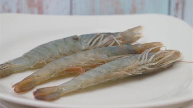 video of the biggest shrimp