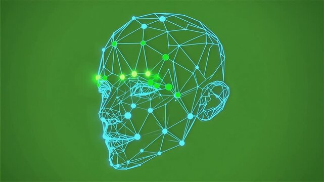 Facial Geometry Mesh Biometric Recognition Scan Vector Animation 5 Seconds Video