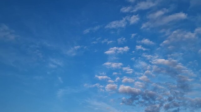 Cirrus and high cumulus clouds smoothly scattering across the blue sky. Beautiful view of the sky from the bottom up. Blue sky covered with small white cumulus clouds. Natural background