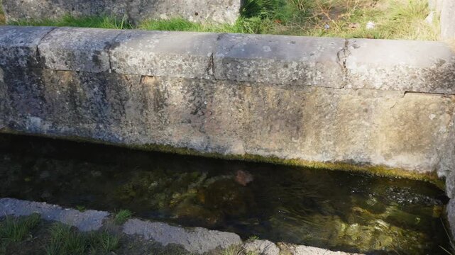 Old Stone Water Trough With Algae in Rural Setting
