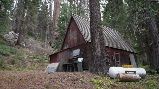 John Muirs cabin is surrounded by giant Sequoia trees. He spent a year here writing his journals about nature.