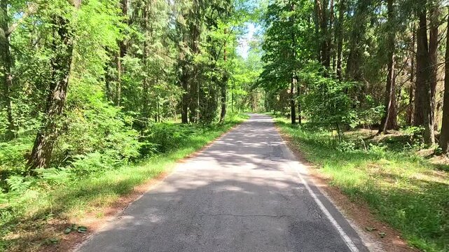 A narrow gray asphalt road stretches forward through a dense green forest, camera moving steadily ahead along the winding path between tall trees under bright sunlight and dappled shade.