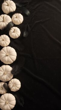 Elegant White Pumpkins and Black Feathers on Dark Fabric - A sophisticated arrangement of small white pumpkins and dark black feathers is showcased on a textured, dark fabric surface.