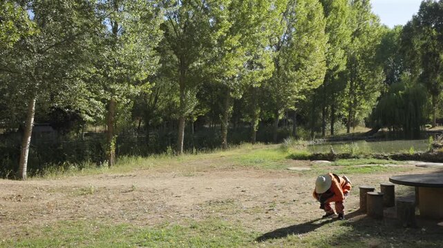 Person Working in a Sunny Rural Woodland Clearing