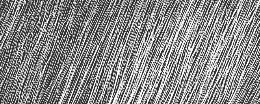 Dense hand drawn white pencil diagonal lines texture on black background. Parallel sketchy hatching overlay for background design, grunge effects, banners, noise overlays, and artistic prints.