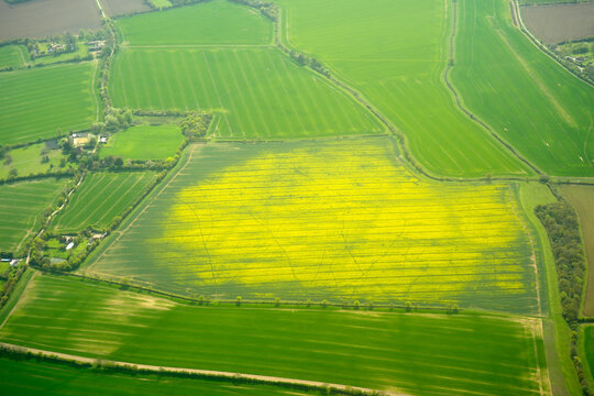 Aerial View of Rapeseed Field Among Green Farmland England