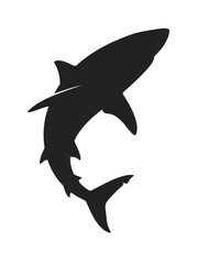 Obraz premium Shark Vector Illustration Isolated on White Background, Wild Marine Predator Fish for Ocean, Underwater, Wildlife and Nature Design