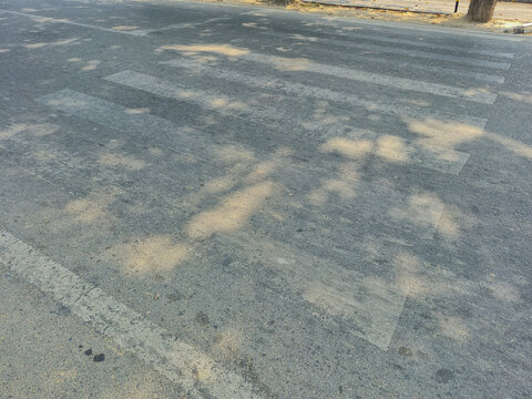 faded white paint zebra crossing on a grey asphalt street surface with dappled sunlight and tree shadows. Useful for background textures, urban traffic safety  and municipal infrastructure reports