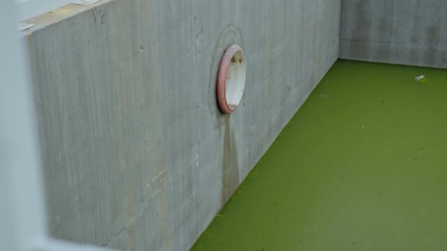 Green liquid with sludge in large concrete basin at wastewater treatment station. Stage of sewage water processing for future usage
