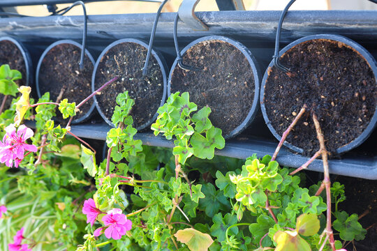 Flower pots with irrigation tubes for automatic soil watering, self-watering plant containers with drip feed system for garden care.