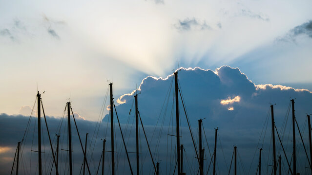 Silhouettes of ship and yacht masts against colorful dawn sky marina, sunrise seascape with sailing boats harbor at early morning.