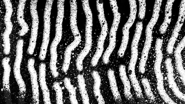 Monochrome graffiti scribbles pattern. Looped spray paint abstract texture