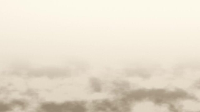 Soft shadow of tree branches moving on neutral beige textured background 4K