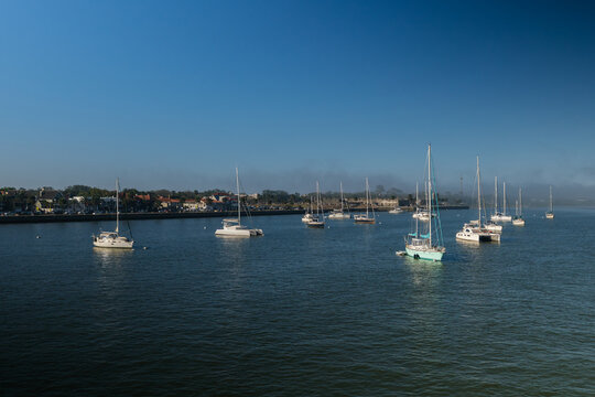 Numerous sailboats and catamarans float across the broad blue harbor in Saint Augustine, Florida. The historic waterfront and low coastal haze appear along the distant shoreline.