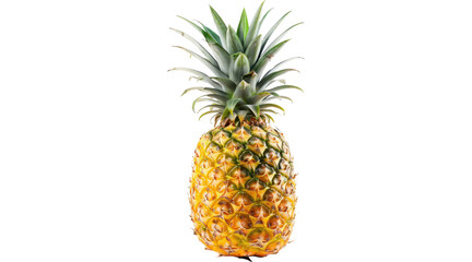 Fototapeta premium pineapple slice, pineapple, ananas, pine apple, png, cut, slice, cutout, pineapple png, ananas png, 