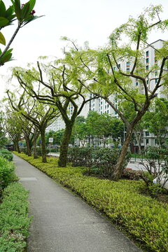 Urban Nature Walk in the City Park Outdoors