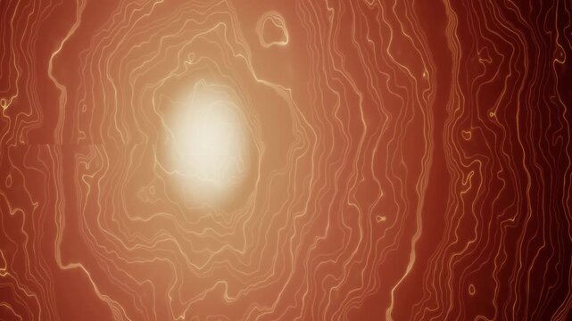 Topographic map contour lines glowing orange abstract motion background loop 4K