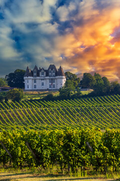 Chateau Monbazillac ( Monbazillac castle) with vineyards, Aquitaine, France