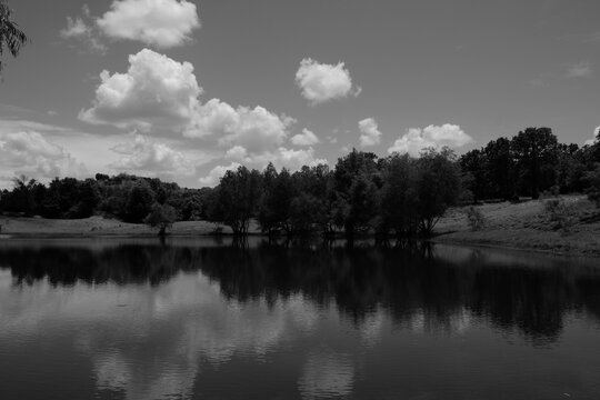 Scenic Texas pond water natural landscape background in black and white