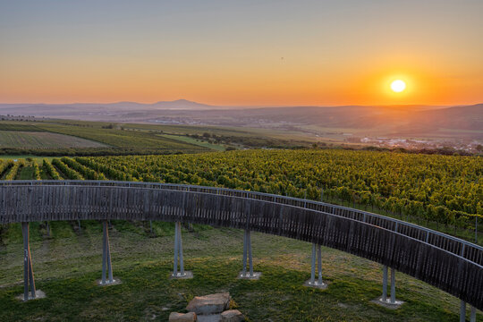 Trail above the vineyards lookout point, Kobyli vrch, Kobyli, Southern Moravia, Czech Republic