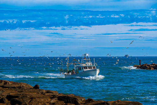 Fishing Boat and Seagulls