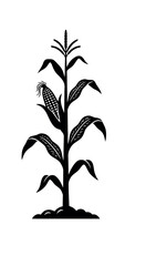 Obraz premium Single corn stalk with an ear of corn growing on it.