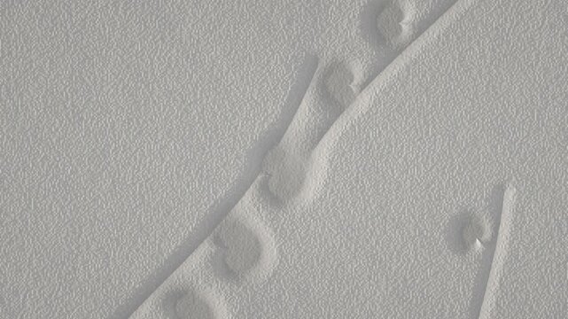 White embossed texture background with geometric lines and soft shadows loop