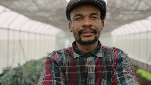 Portrait of a happy African American male farmer wearing a hat standing with arms crossed and looking at camera in a vegetable greenhouse at an organic farm. 