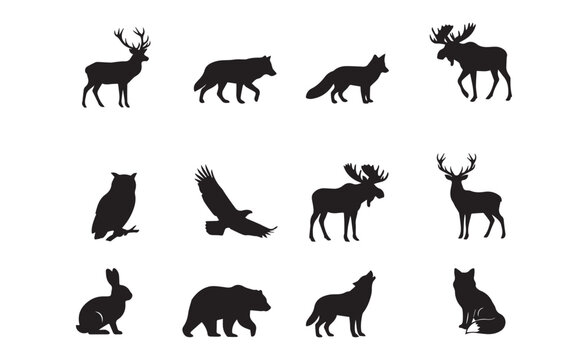 Forest animal silhouettes vector collection of wild fauna with animal silhouette