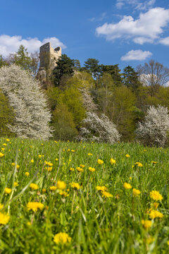 Valecov castle ruins, Middle Bohemia, Czech Republic