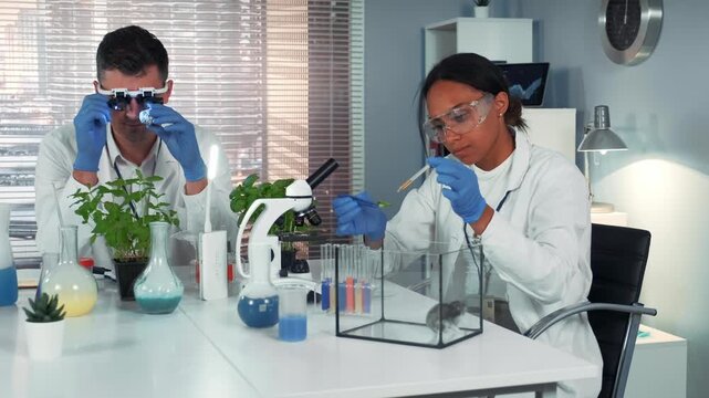 A man and a woman wearing lab coats and safety glasses analyze liquid samples using pipettes and microscopes in a clean indoor laboratory setting.