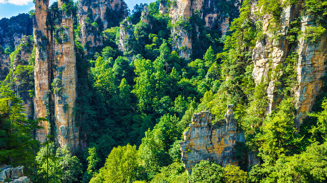 Tall sandstone pillars and layered cliffs rise through dense green forest, forming a sunlit mountain ravine with rugged vertical rock formations.