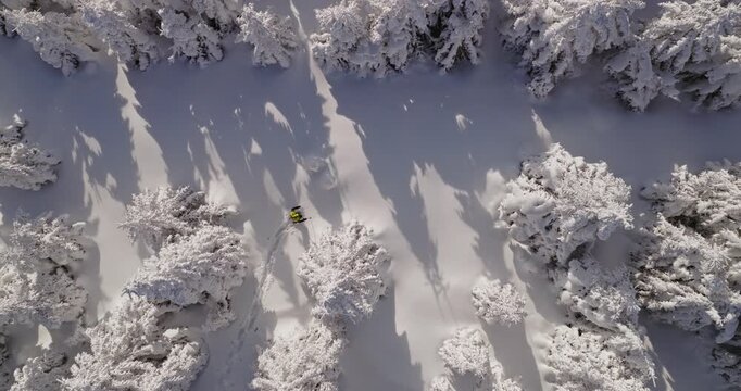 Static shot over a snow covered winter landscape with a young man walking on snowshoes through pristine terrain. Peaceful wilderness scene with fresh snow and frosted trees.