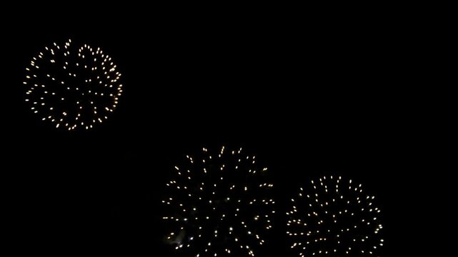 夜空に大きく開く打ち上げ花火のクローズアップ映像素材