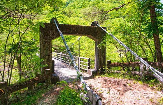 栃木県日光市　龍王峡の鬼怒川に架かるむささび橋