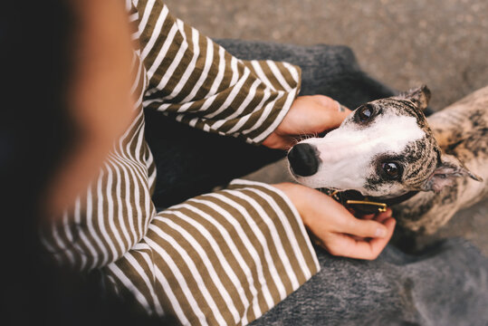 Woman Affectionately Cuddling her Whippet Dog
