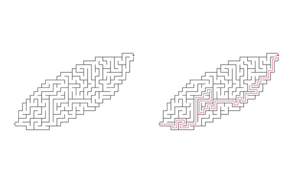 Sweet potato shaped maze puzzle with green start and red finish shown unsolved and solved with highlighted pink solution path on white background