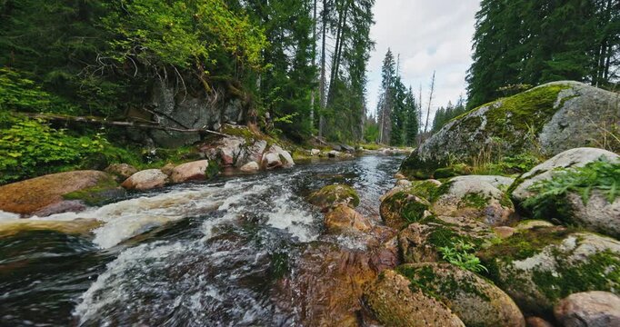 Static nature footage of a mountain stream rushing over smooth rocks through a lush forest, surrounded by moss, stones and green vegetation, with authentic flowing water sounds.